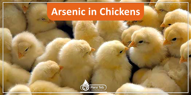 Arsenic in Chickens