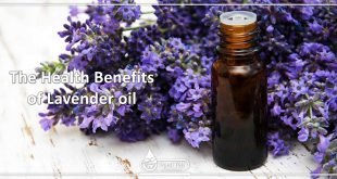 The Health Benefits of Lavender oil