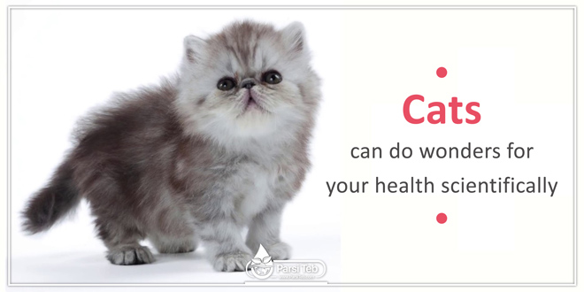 cats can do wonders for your health scientifically