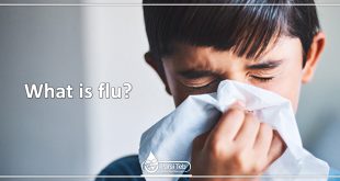 What is flu?