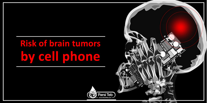 Risk of brain tumors by cell phone