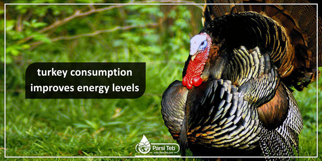 turkey consumption improves energy levels