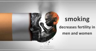 smoking decreases fertility in men and women