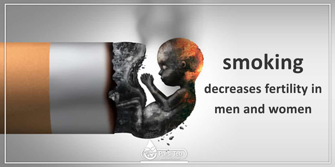 smoking decreases fertility in men and women