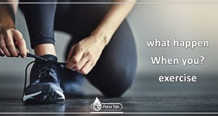 what happen When you exercise ?