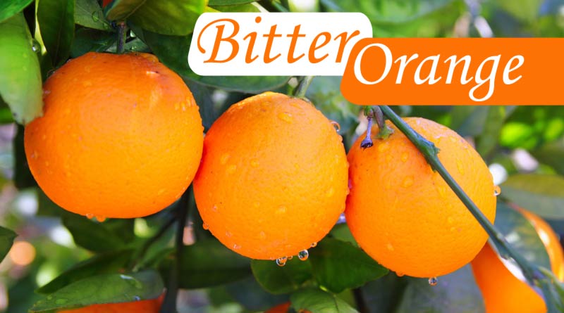 bitter orange