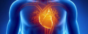 heart diseases or stroke in Canada3