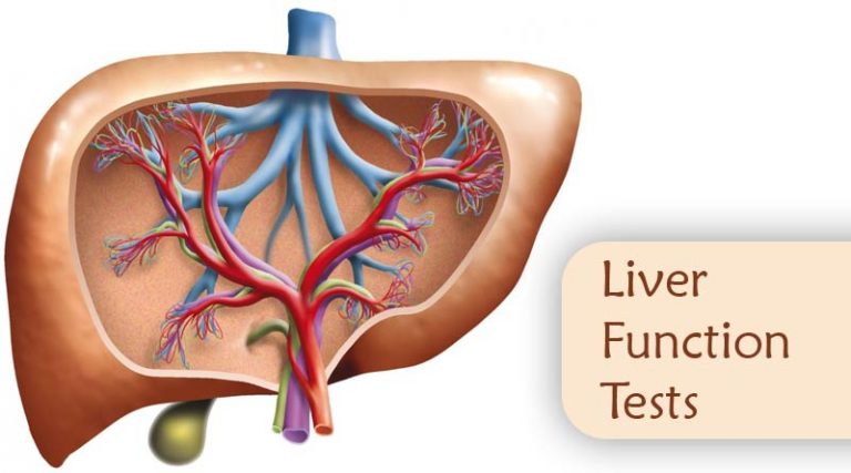 Liver Function Tests Parsi Teb