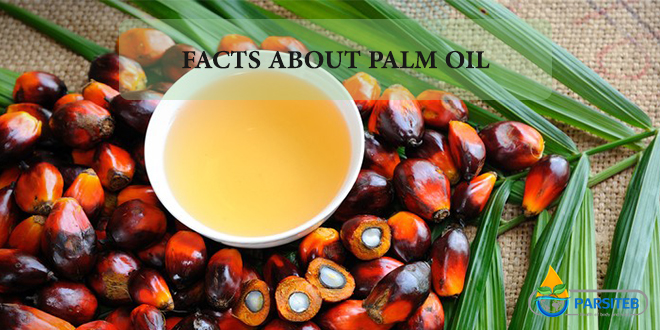 Facts about Palm Oil