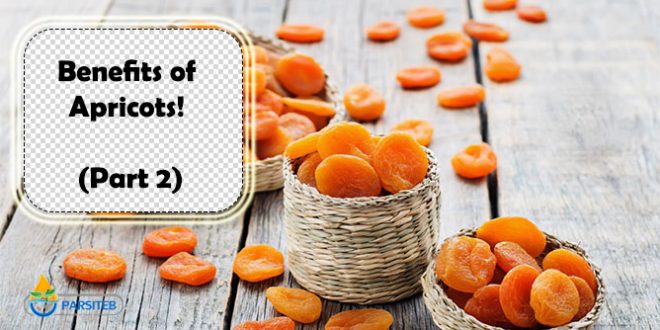 Benefits of Apricots! (Part 2)