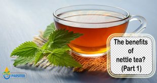 The benefits of nettle tea? (Part 1)